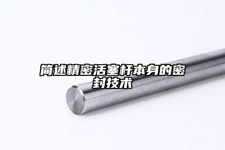 简述精密活塞杆本身的密封技术