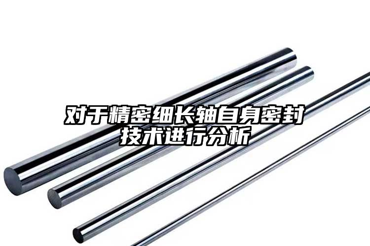 对于精密细长轴自身密封技术进行分析