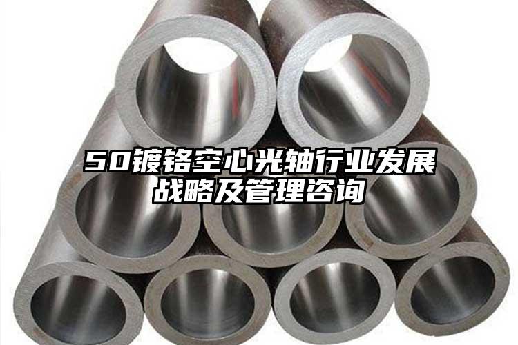 50镀铬空心光轴行业发展战略及管理咨...